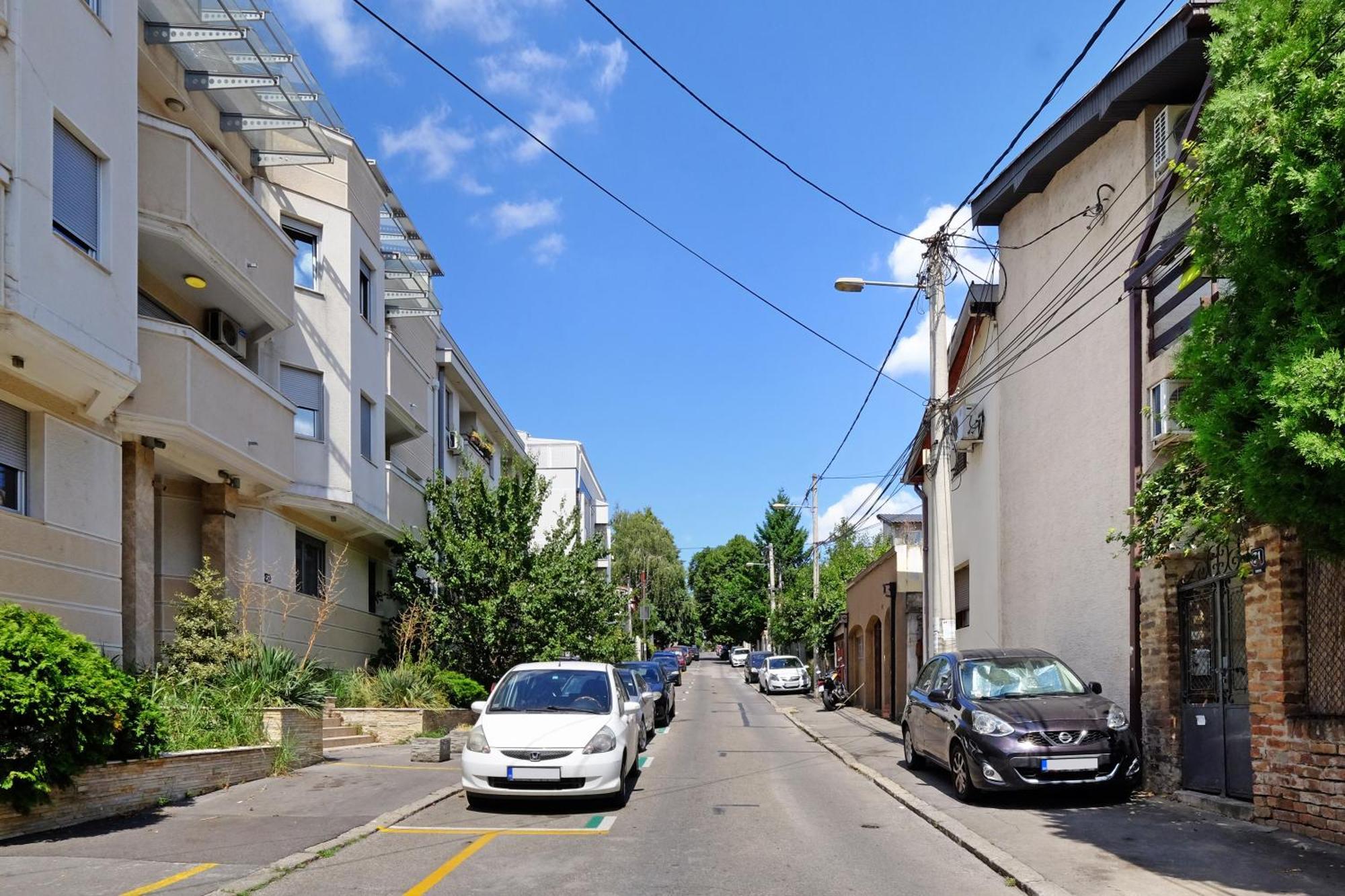 Red Tree Apartment Belgrade Exterior photo