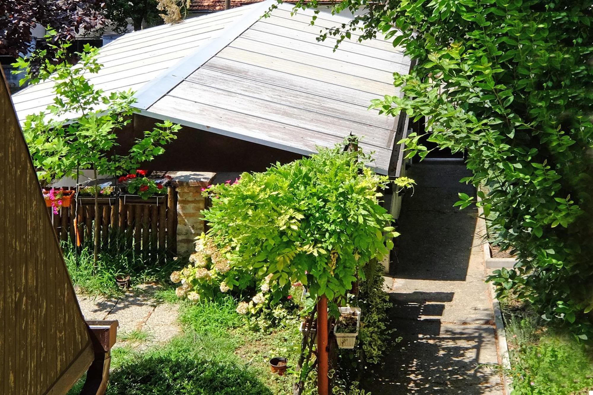 Red Tree Apartment Belgrade Exterior photo
